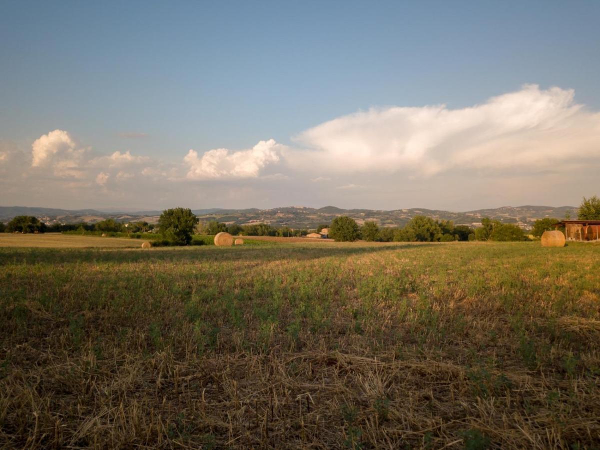 Agriturismo Consalvi Valentina 마르시아노 외부 사진