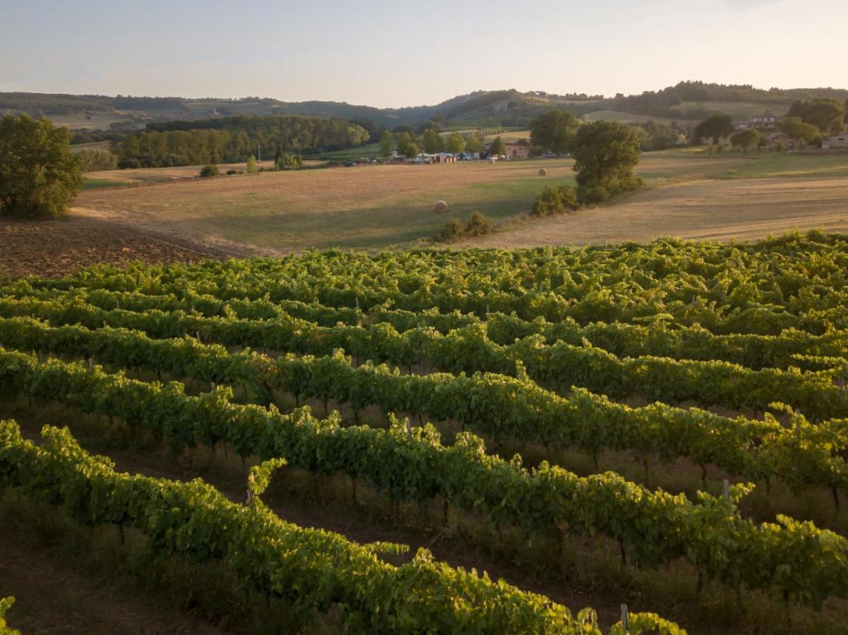 Agriturismo Consalvi Valentina 마르시아노 외부 사진