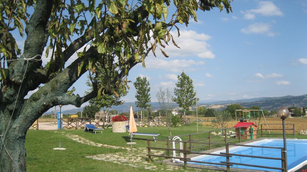 Agriturismo Consalvi Valentina 마르시아노 외부 사진