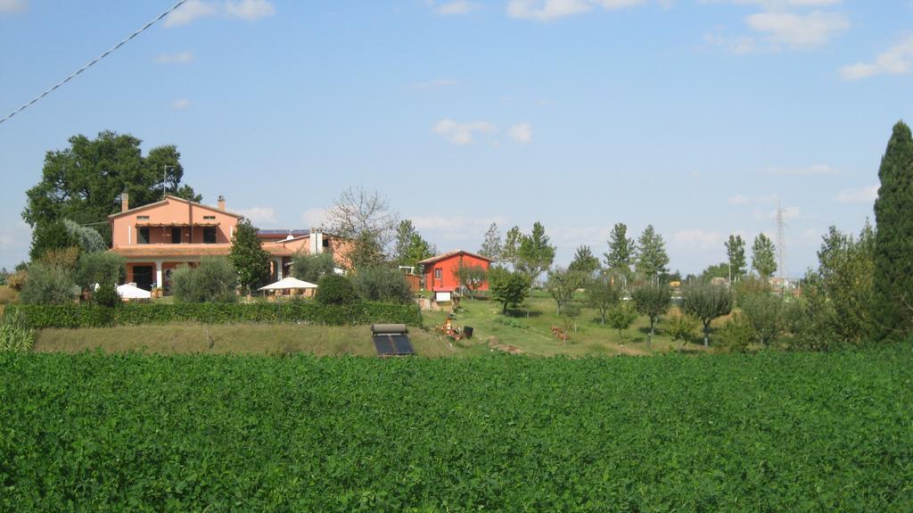 Agriturismo Consalvi Valentina 마르시아노 외부 사진