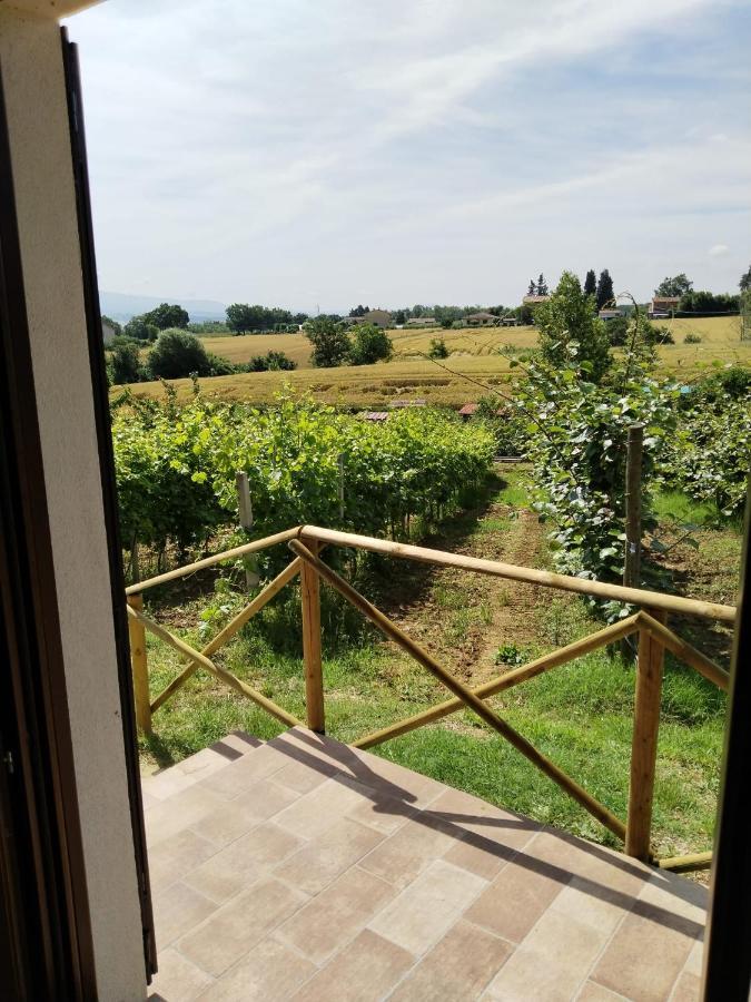 Agriturismo Consalvi Valentina 마르시아노 외부 사진