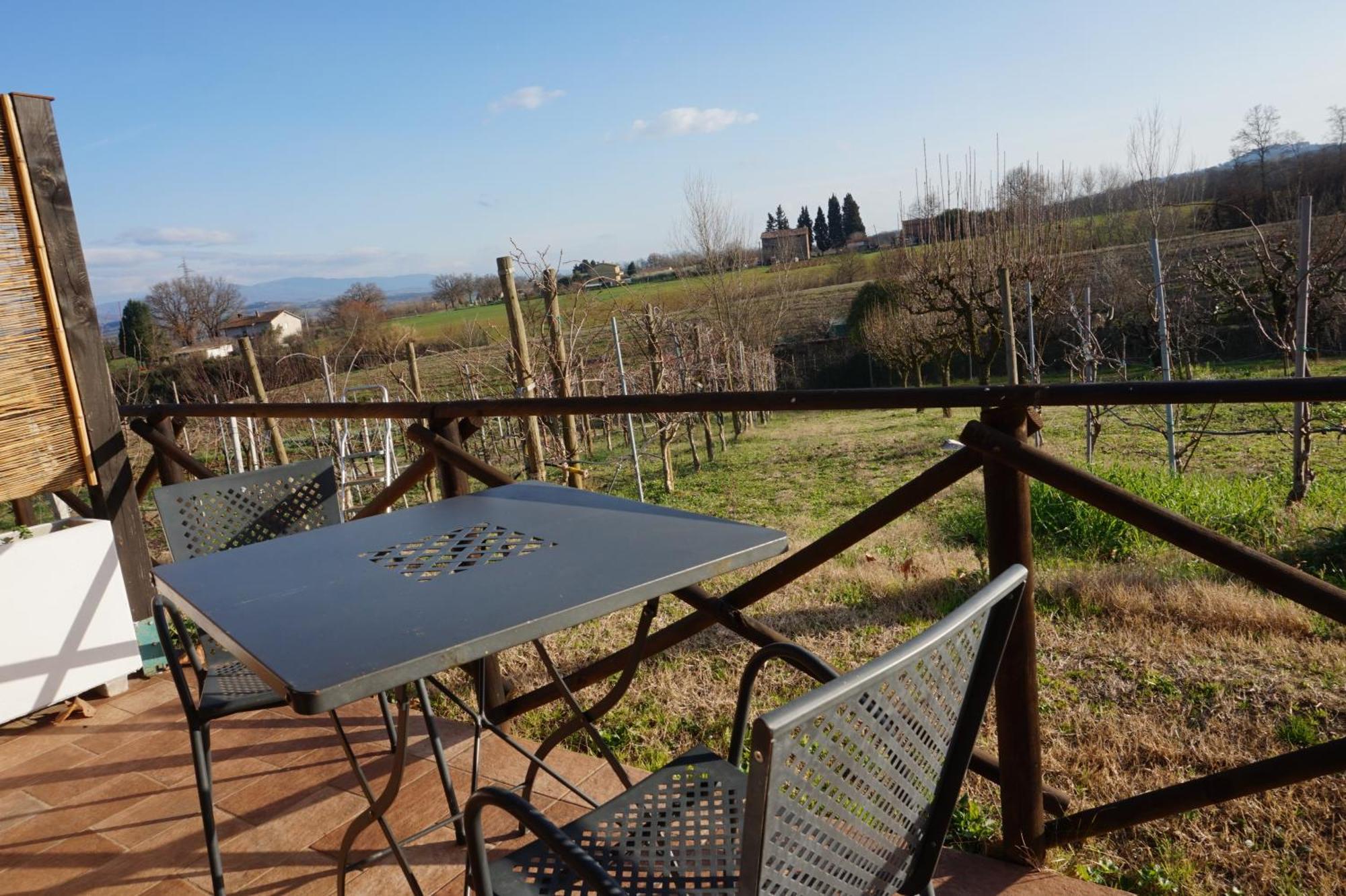 Agriturismo Consalvi Valentina 마르시아노 외부 사진