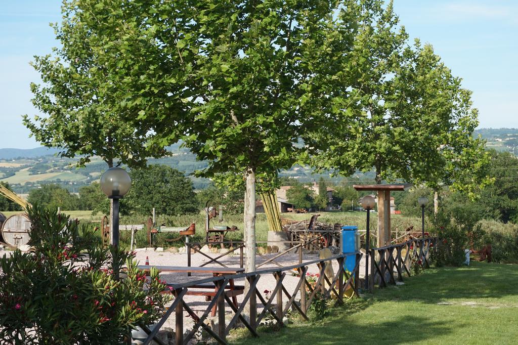 Agriturismo Consalvi Valentina 마르시아노 외부 사진