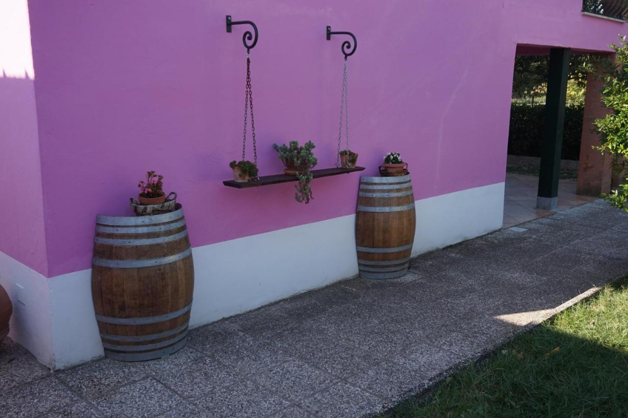 Agriturismo Consalvi Valentina 마르시아노 외부 사진